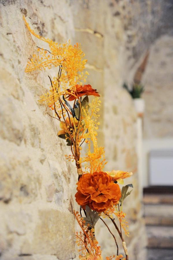 O Rosa Bella Appartamento Via Savelli Della Porta 24 Gubbio Esterno foto