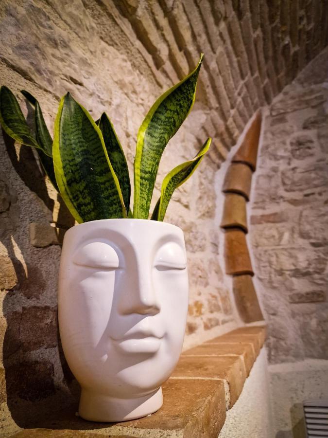 O Rosa Bella Appartamento Via Savelli Della Porta 24 Gubbio Esterno foto